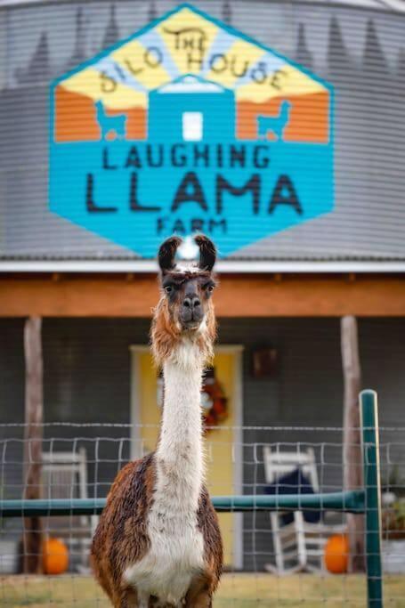 Silo House At Laughing Llama Farm Troy Luaran gambar
