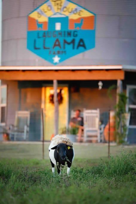 Silo House At Laughing Llama Farm Troy Luaran gambar